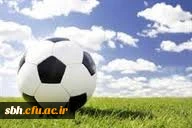 تصویب تامین اعتبار احداث زمین چمن مصنوعی فوتسال