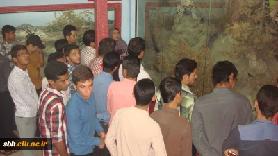 بازدید دانشجویان پردیس شهید بهشتی هرمزگان از موزه محیط زیست استان
