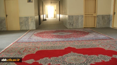 پروژه های انجام شده و در حال اجرای دانشگاه فرهنگیان هرمزگان در سال تحصیلی 96-95