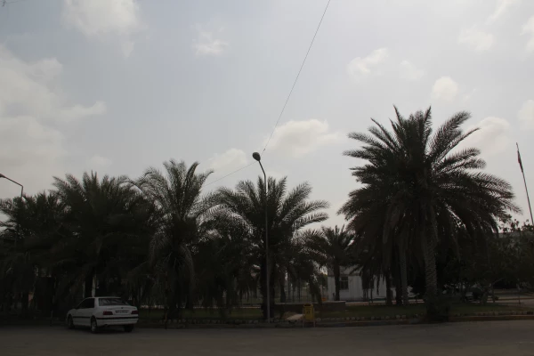 پروژه های انجام شده و در حال اجرای دانشگاه فرهنگیان هرمزگان در سال تحصیلی 96-95 41