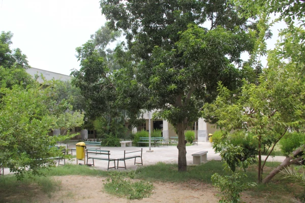 بازدید مدیریت استانی دانشگاه از پروژه ها و فعالیت های در حال اجرای دانشگاه فرهنگیان هرمزگان 7