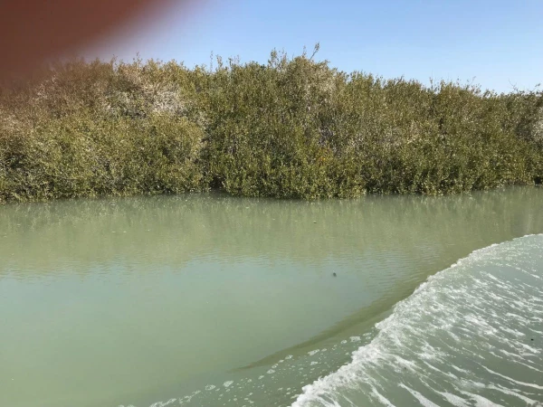 برگزاری اردوی سیاحتی و فرهنگی همکاران اداری پردیس های استان هرمزگان به مناسبت ایام الله فرخنده دهه فجر 2