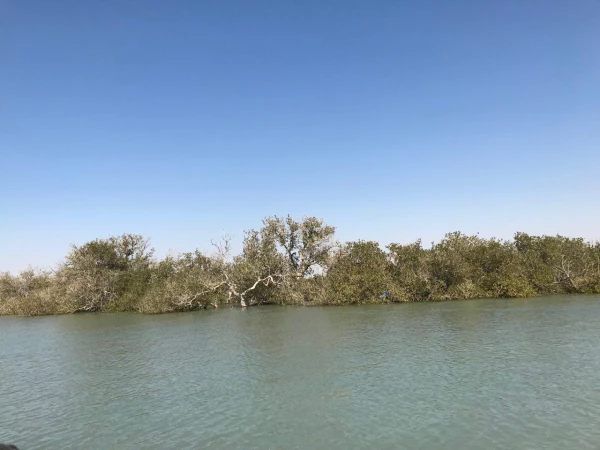 برگزاری اردوی سیاحتی و فرهنگی همکاران اداری پردیس های استان هرمزگان به مناسبت ایام الله فرخنده دهه فجر 3